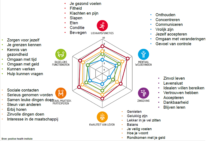 Transformatie in de zorg PinkRoccade Diagnosis 2030